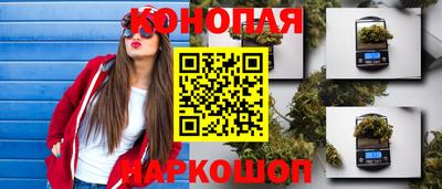 винт Будённовск