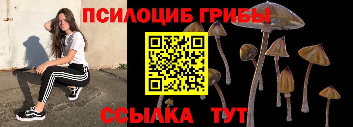 Псилоцибиновые грибы GOLDEN TEACHER Пушкино